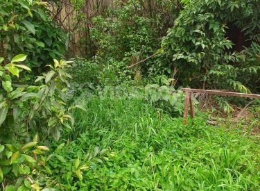 WhatsApp Image 2023-10-26 at 11.51.13