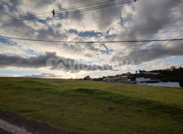 WhatsApp Image 2023-10-31 at 13.42.19 (2)