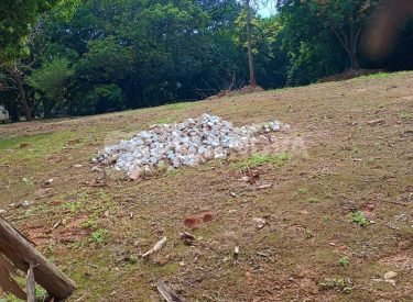 WhatsApp Image 2023-11-03 at 08.33.11