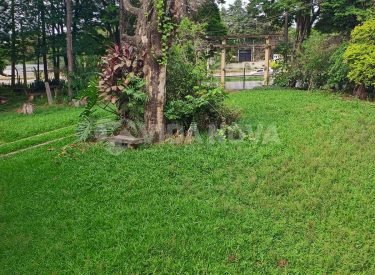 WhatsApp Image 2023-11-03 at 08.36.03