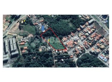 WhatsApp Image 2023-11-06 at 13.01.49