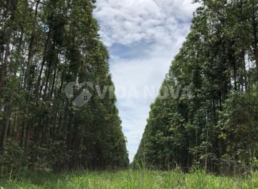 WhatsApp Image 2023-11-20 at 07.32.28 (1)