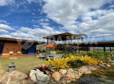 WhatsApp Image 2023-11-27 at 11.49.22