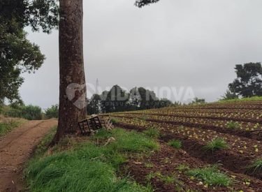 WhatsApp Image 2024-01-15 at 11.16.21