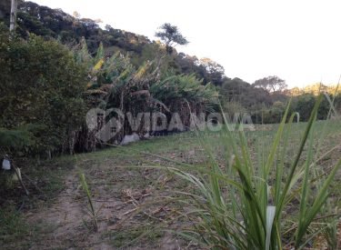 WhatsApp Image 2024-01-23 at 16.21.48 (2)