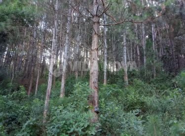 WhatsApp Image 2024-01-25 at 12.51.24