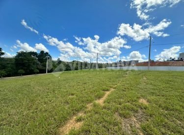 WhatsApp Image 2024-01-26 at 09.28.59 (1)