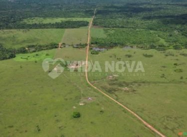 WhatsApp Image 2024-01-31 at 09.37.08