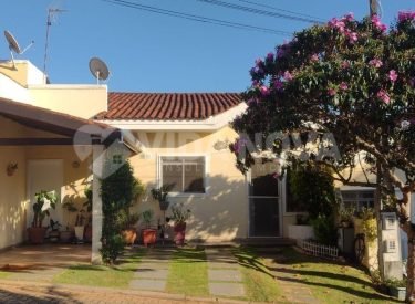 WhatsApp Image 2024-02-02 at 14.18.53