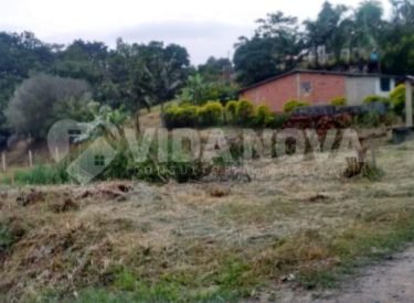 WhatsApp Image 2024-02-06 at 16.20.56