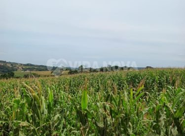 WhatsApp Image 2024-02-07 at 14.23.46