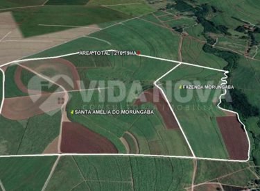 WhatsApp Image 2024-03-01 at 17.33.53