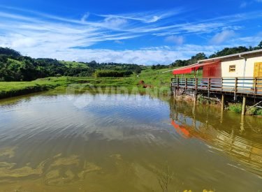 WhatsApp Image 2024-03-02 at 16.22.34