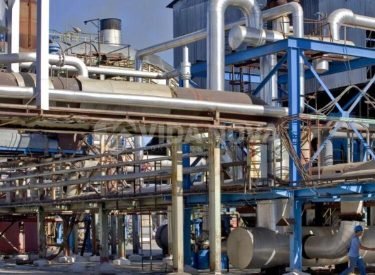 WhatsApp Image 2024-03-10 at 10.06.31 (1)