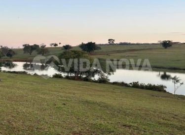 WhatsApp Image 2024-03-10 at 15.22.20