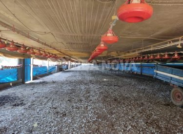 WhatsApp Image 2024-03-10 at 15.26.12 (1)