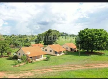 WhatsApp Image 2024-03-27 at 11.03.19 (2)