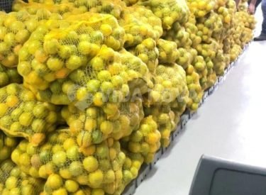 WhatsApp Image 2024-04-05 at 07.45.27