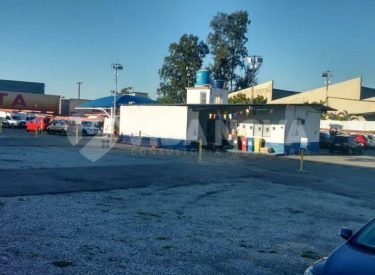 WhatsApp Image 2024-04-18 at 13.06.16