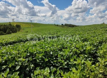 WhatsApp Image 2024-04-22 at 09.41.32