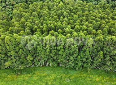 WhatsApp Image 2024-05-15 at 15.03.29 (1)