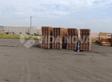 WhatsApp Image 2024-05-22 at 08.01.31