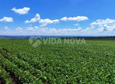 WhatsApp Image 2024-05-31 at 09.43.01