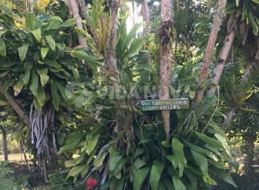 WhatsApp Image 2024-06-05 at 10.10.53