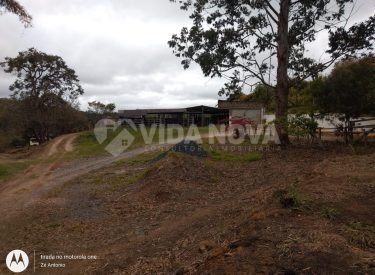 WhatsApp Image 2024-06-11 at 15.10.58 (1)