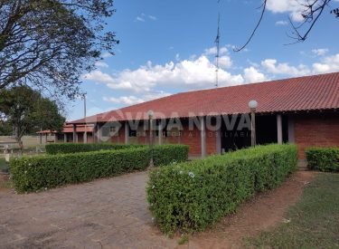 WhatsApp Image 2024-06-14 at 06.55.28 (1)