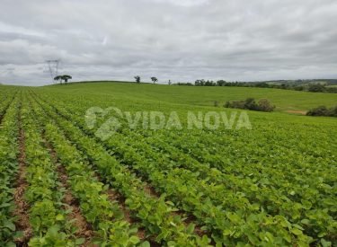 WhatsApp Image 2024-06-14 at 15.15.08 (1)