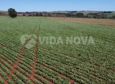 WhatsApp Image 2024-06-18 at 09.32.02 (2)