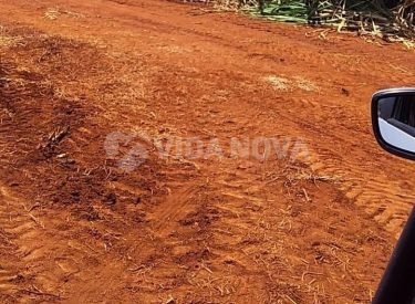 WhatsApp Image 2024-06-19 at 06.15.46 (3)