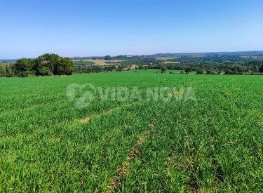 WhatsApp Image 2024-06-20 at 16.46.14 (3)