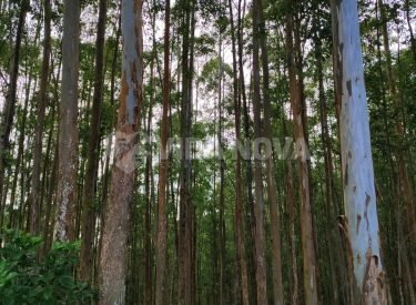 WhatsApp Image 2024-07-11 at 11.02.07