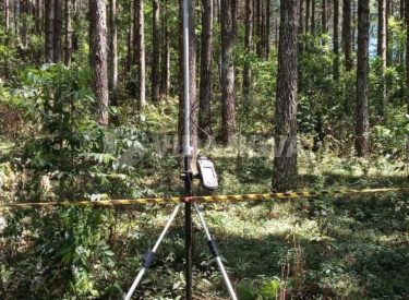 WhatsApp Image 2024-07-23 at 14.37.43