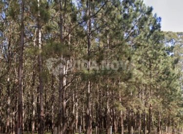 WhatsApp Image 2024-08-07 at 17.52.21