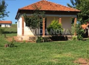 WhatsApp Image 2024-08-15 at 16.54.14