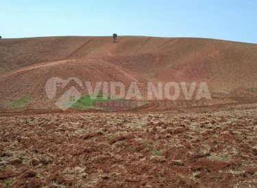 WhatsApp Image 2024-08-24 at 13.32.52