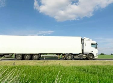 WhatsApp Image 2024-08-26 at 18.35.26