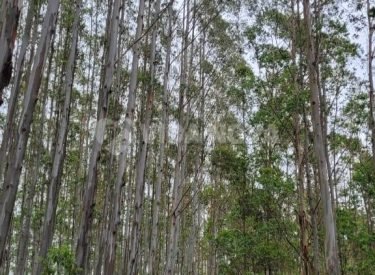 WhatsApp Image 2024-08-28 at 17.41.24 (2)