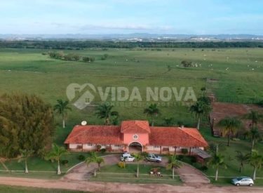 WhatsApp Image 2024-08-31 at 11.50.42 (3)