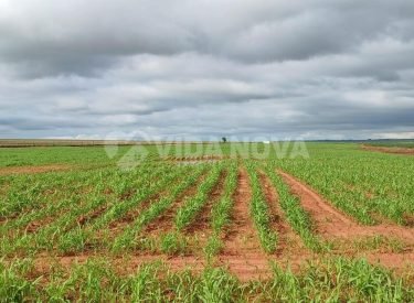 WhatsApp Image 2024-09-11 at 15.10.11