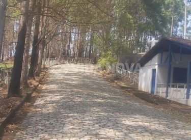 WhatsApp Image 2024-09-25 at 17.49.28 (3)