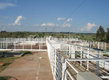 WhatsApp Image 2024-10-23 at 14.01.57 (1)