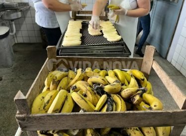 WhatsApp Image 2024-10-24 at 19.52.52