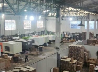 WhatsApp Image 2024-10-24 at 19.55.00