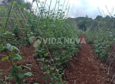 WhatsApp Image 2024-11-04 at 18.09.10 (3)