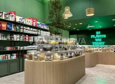 WhatsApp Image 2024-11-10 at 17.29.04