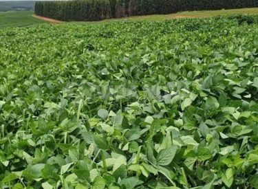 WhatsApp Image 2024-11-30 at 12.29.25 (2)